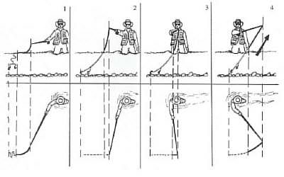 Leading of short nymph