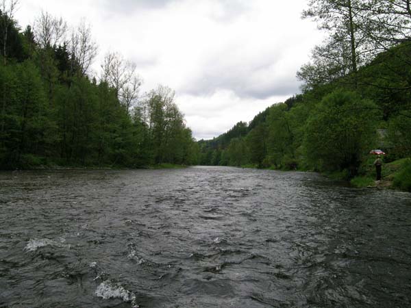 DSCN1231