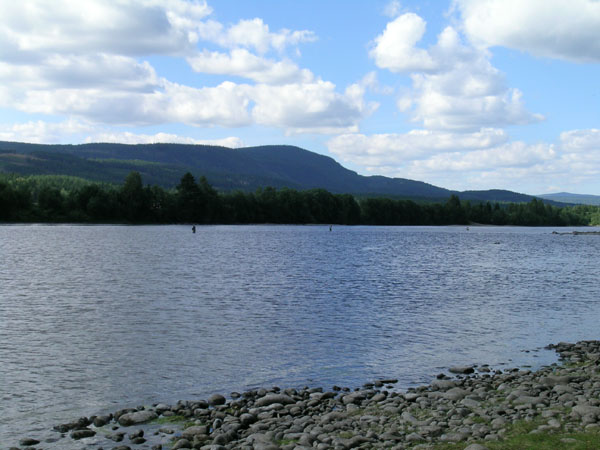 DSCN1719