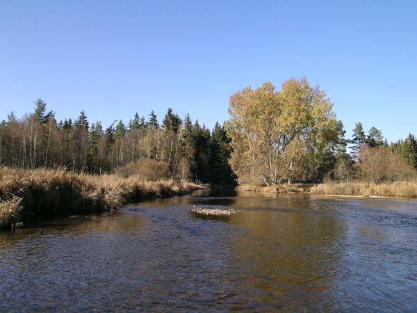 DSCN0009
