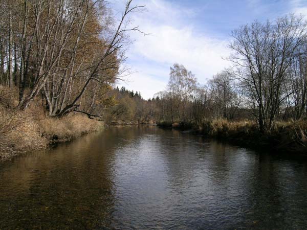 DSCN0023