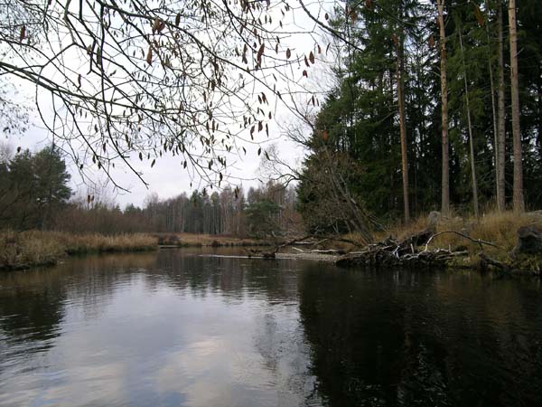 DSCN0161