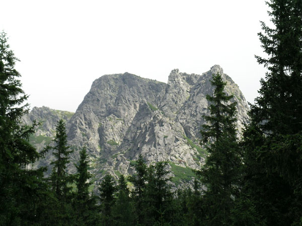 DSCN1851