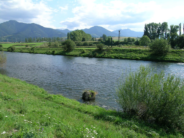DSCN1877